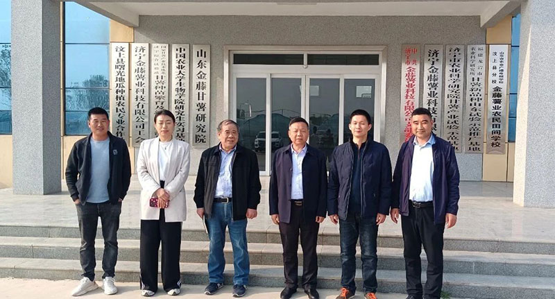 甘薯專委會組織甘薯苗期調研，制定苗期管理意見