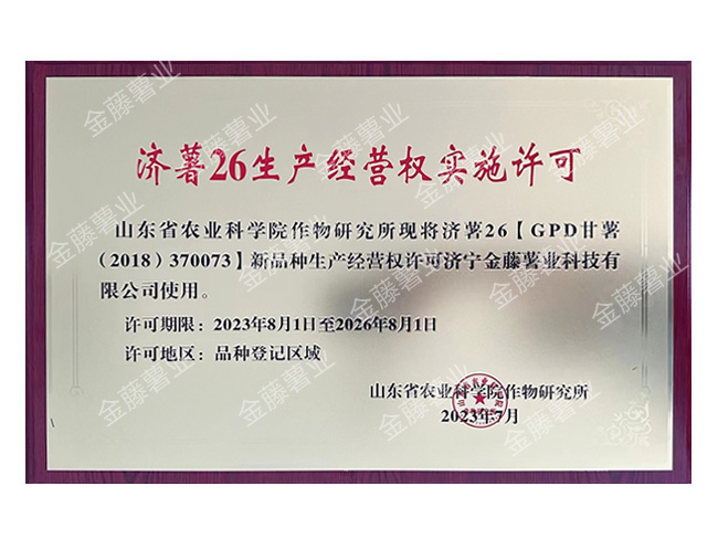 濟(jì)薯26生產(chǎn)經(jīng)營權(quán)實(shí)施許可