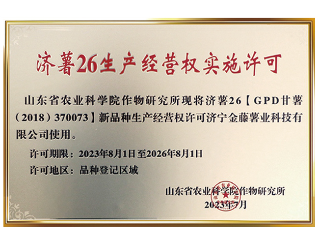 濟(jì)薯26生產(chǎn)經(jīng)營權(quán)實施許可